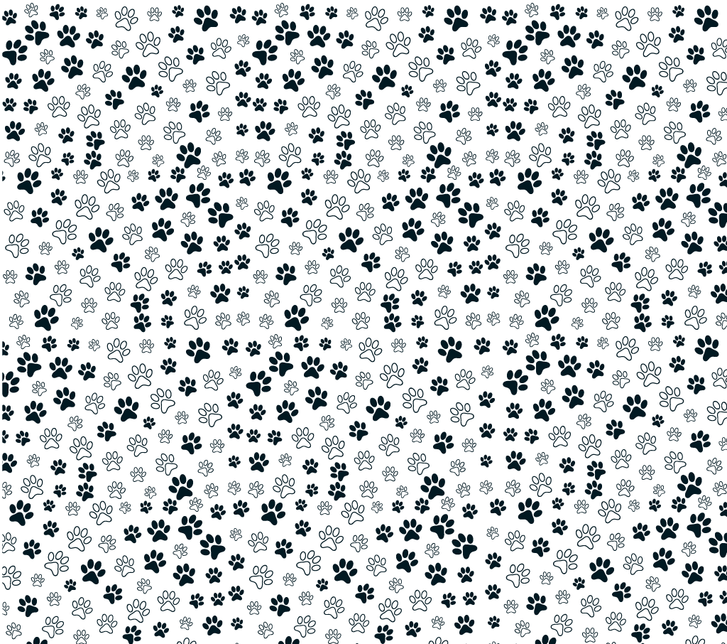 Fondo